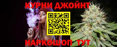 шишки Будённовск