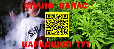 шишки Будённовск