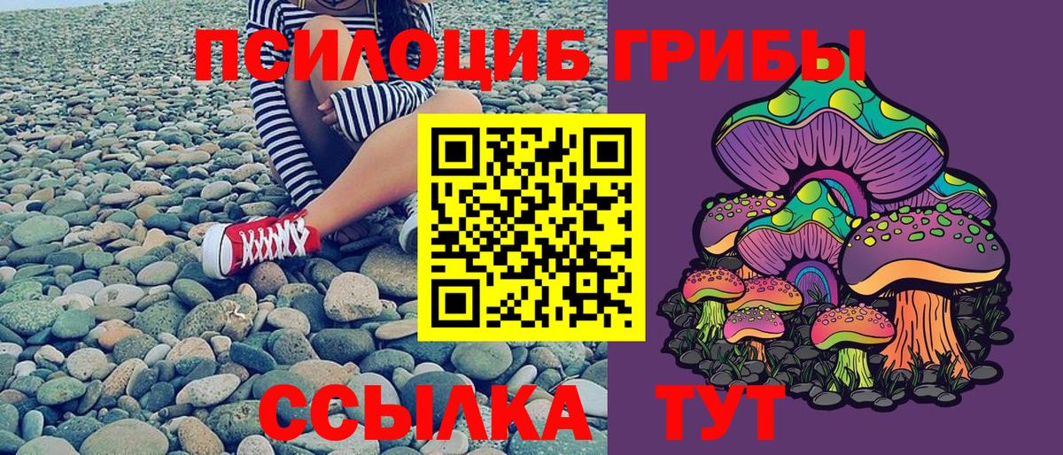 Галлюциногенные грибы Magic Shrooms Озёрск